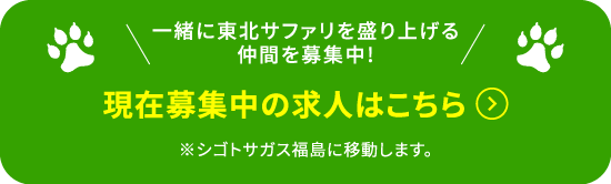 現在募集中の求人はこちら