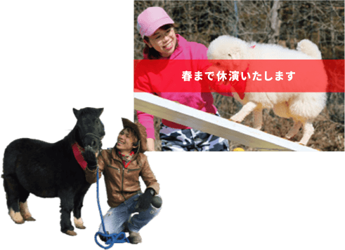 Dog Run