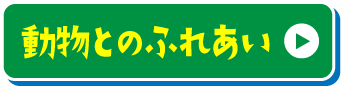 動物とふれあい