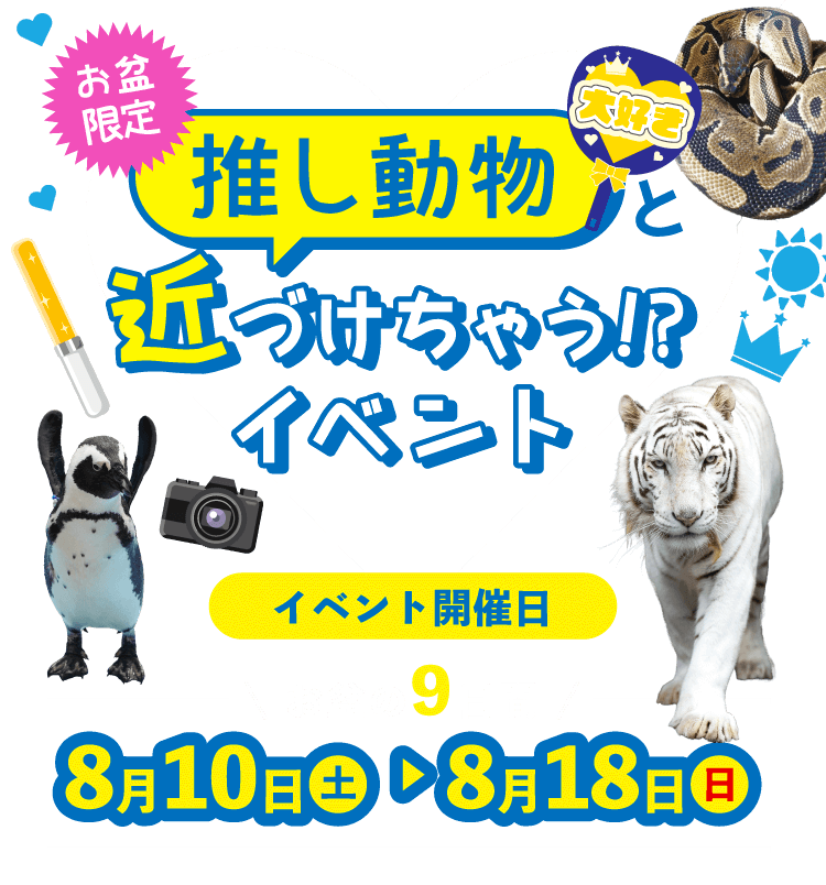 お盆限定　推し動物と近づけちゃう!?イベント