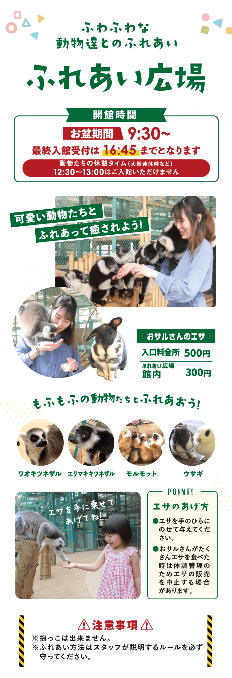 ふわふわな動物達とのふれあい ふれあい広場