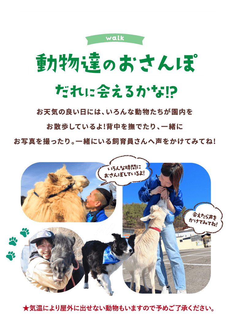 動物達のおさんぽ だれに会えるかな!?