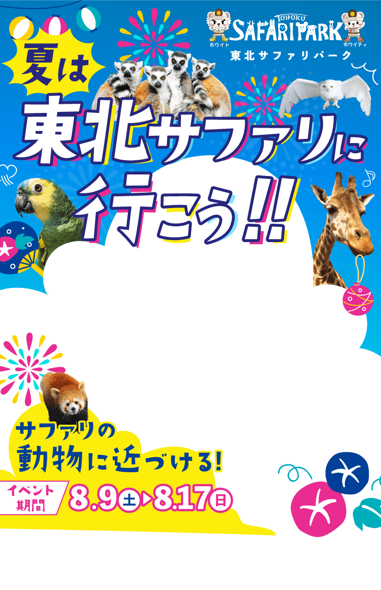 夏は東北サファリに行こう!! 夏の限定イベント開催!