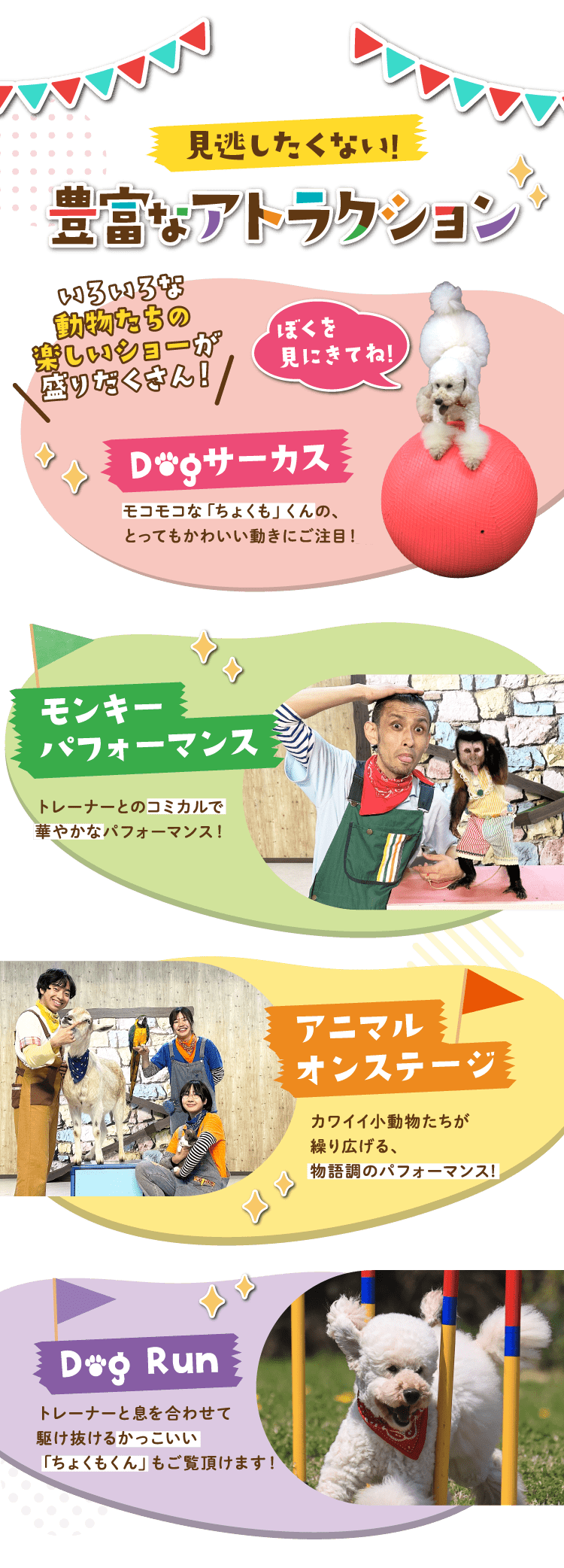 見逃したくない!豊富なアトラクション