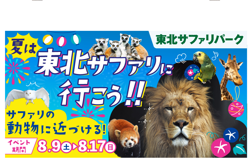 夏休みキャンペーン