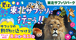 夏休みキャンペーン