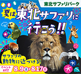 夏休みキャンペーン